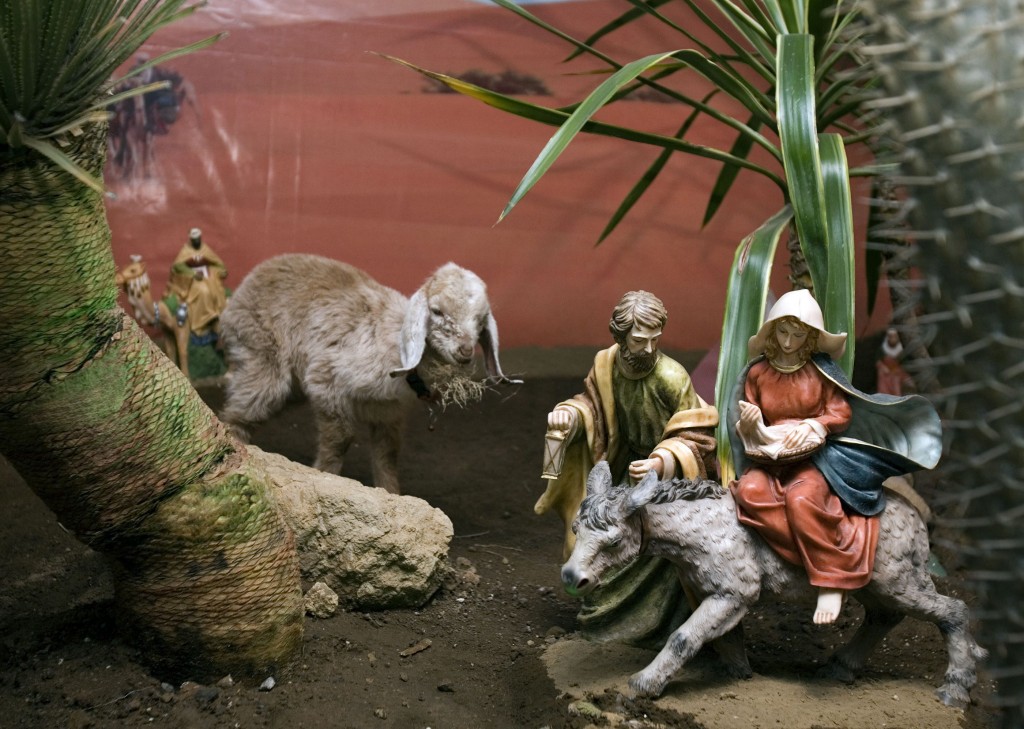 de la diversidad cultural