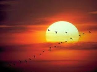 sol